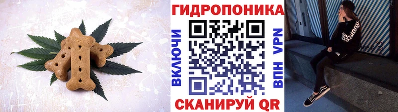 Cannafood конопля  Купить  Междуреченск 