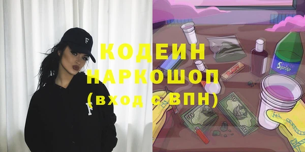 твердый Елизово