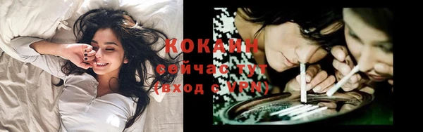 твердый Елизово