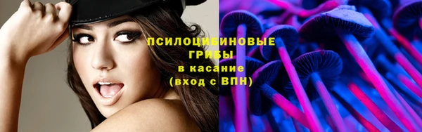 твердый Елизово