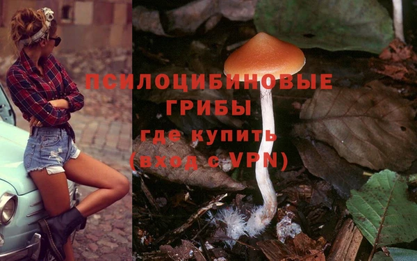 прущая мука Елабуга