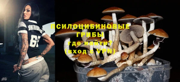 твердый Елизово