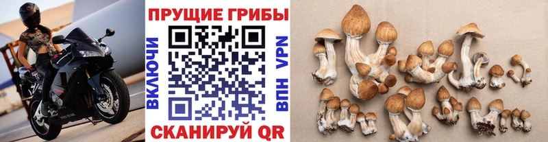 Галлюциногенные грибы мицелий  Купить закладки  Междуреченск 